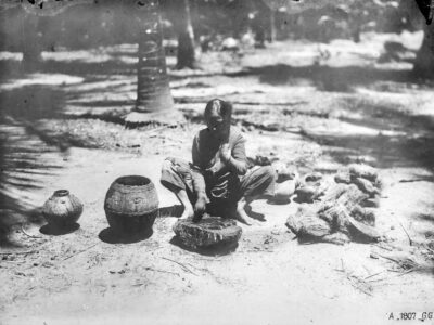 51172686927_67b7b414be_3k