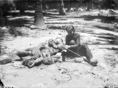 51172686977_b86c125b06_3k