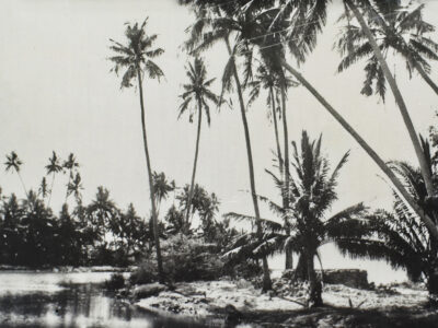 51174687334_3f19142d4d_3k